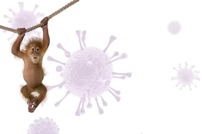 هر آنچه باید درباره ویروس آبله میمون بدانید